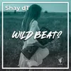 About Wild Beats Song