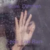 About Feels Like Rain Song