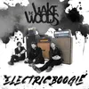 About Electric Boogie Song