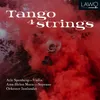 Variations over 'Lagrimas negras' (Arr. for string orchestra by Sverre Indris Joner)