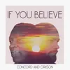 About If You Believe - Single Song