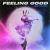 About Feeling Good Song