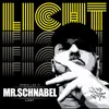 About Licht Song