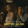 About Cantec la nai Song