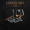 About Consumo Song