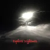 About Euphoric Nightmare Song