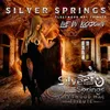 Silver Springs (Live)