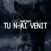 Tu n-ai venit