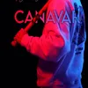About Canavar Song