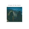 About Shape of my Heart Song