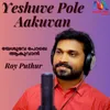 About Yeshuve Pole Aakuvan Song