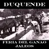 About Feria del Ganao (Jaleos) Song