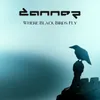 Where Black Birds Fly