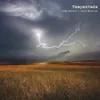 About Tempestade Song