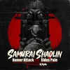 About (Samurai Shaolin) Romer Attack Song