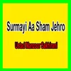 About Surmayi Aa Sham Jehro Song