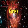 About Gunay Song