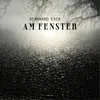 About Am_Fenster Song
