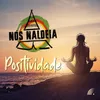 About Positividade Song