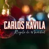 About Regalo de Navidad Song