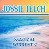 About Magical Forrest C Song