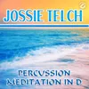 About Percussion Meditation In D Song