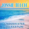 About Underwater Relaxation Song