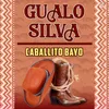 About Caballito Bayo Song