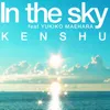 About IN THE SKY feat. YUKIKO MAEHARA Song