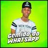 Gemido do Whatsapp