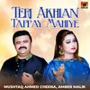 About Teri Akhian Tappay Mahiye Song