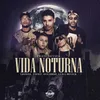 About Vida Noturna Song