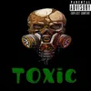 About Toxic Song