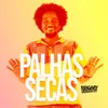 About Palhas Secas Song