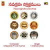 About Navagraha Stotras Song