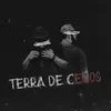 About Terra de Cegos Song