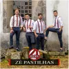 About Zé Pastilhas Song