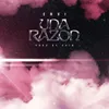 About Una Razón Song