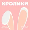 About Кролики Song