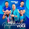 Meu Samba Pegou Você / Chega Ao Vivo