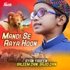 About Mandi Se Aaya Hoon Song