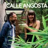 About Calle Angosta Song