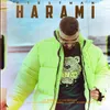 About Harami Song