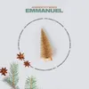About Emmanuel Radio Version Song