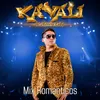 About Mix Románticos (Fuiste Mala, Te Lo Pido por Favor, Olvídame, No Te Creas Tan Importante) Song