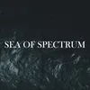 About Sea of Spectrum Song