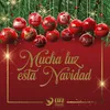 Amarga Navidad