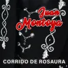 About Corrido de Rosaura Song