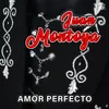 About Amor Perfecto Song
