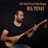 About Deli Gönül Feryad Etme Boşuna Song